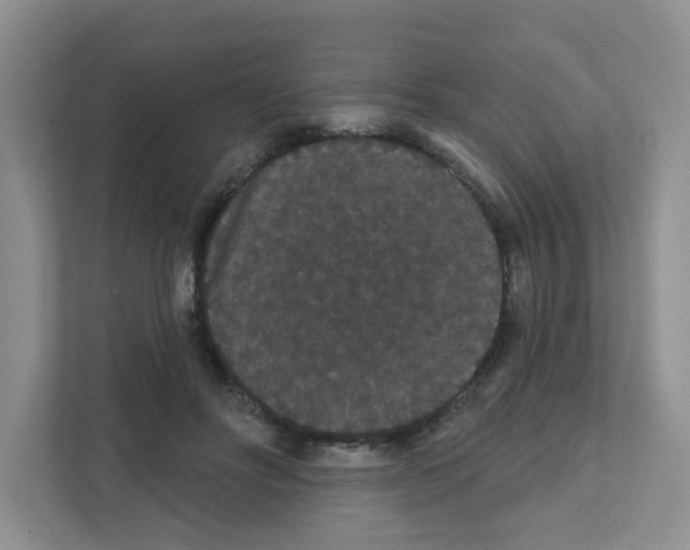 X0000111420502200908241135