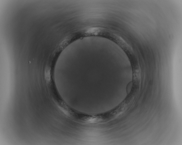 X0000111420504200908241135