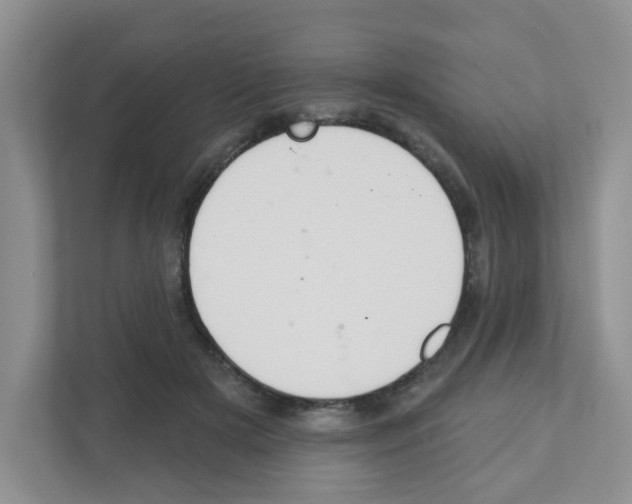 X0000111420505200908241135