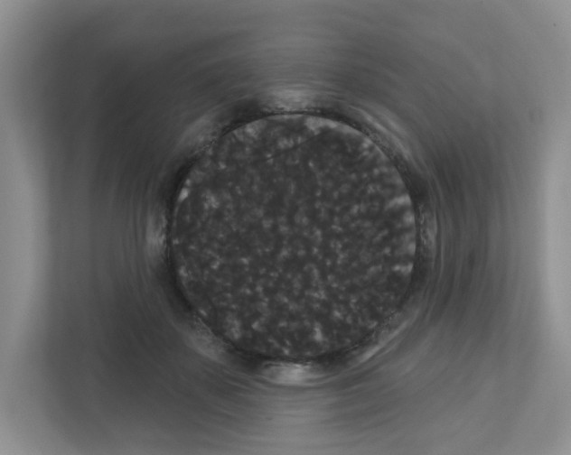 X0000111420507200908241135