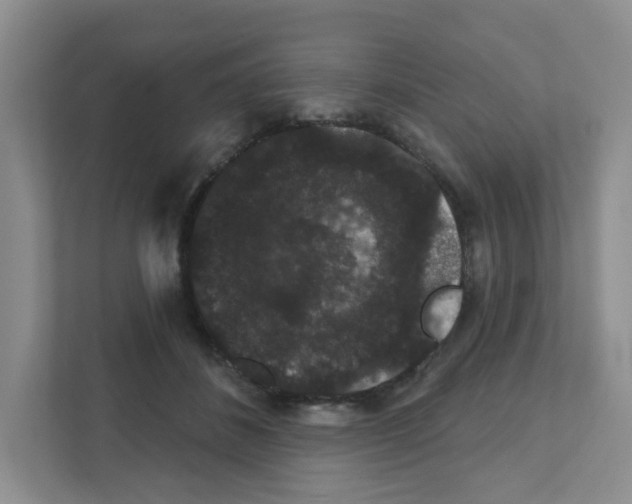 X0000111420508200908241135