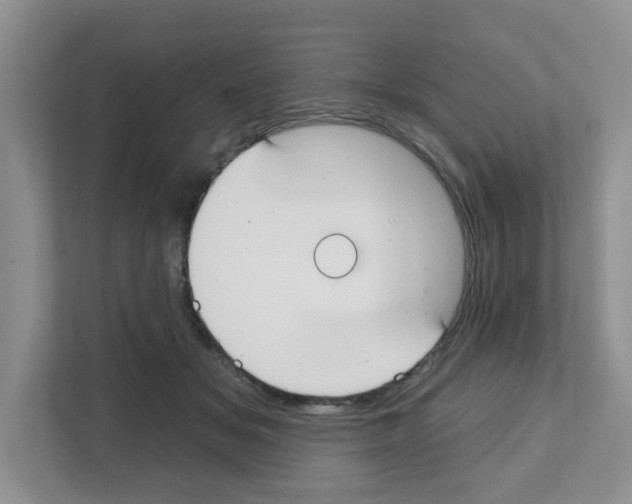 X0000111420509200908241135