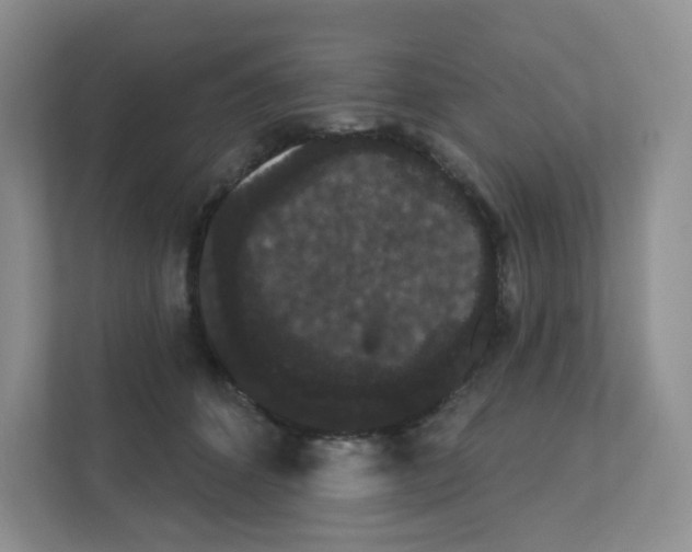 X0000111420512200908241134