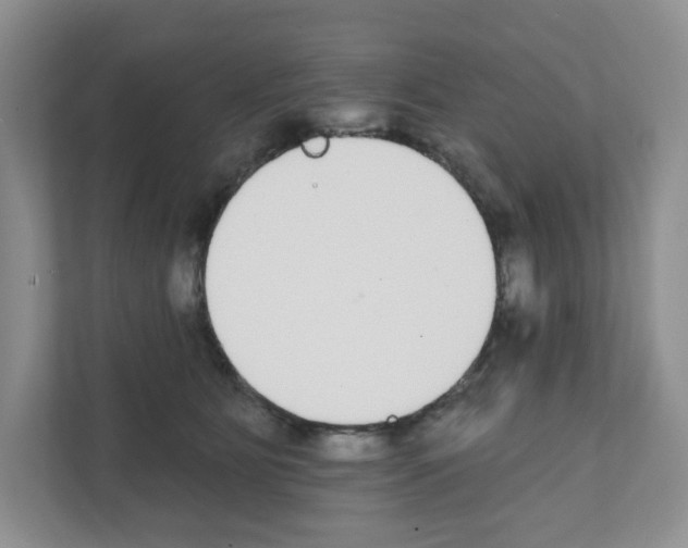 X0000111420515200908241134