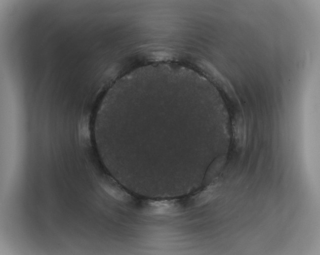 X0000111420516200908241134