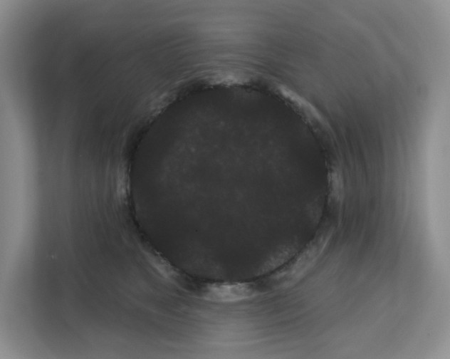 X0000111420517200908241134