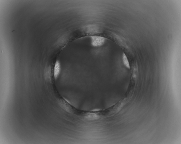 X0000111420519200908241134