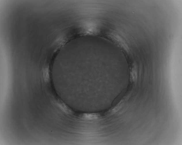 X0000111420520200908241134