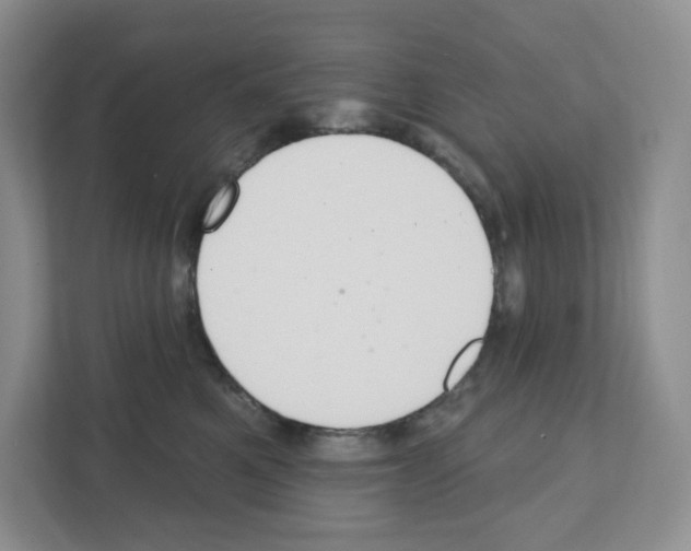 X0000111420521200908241134