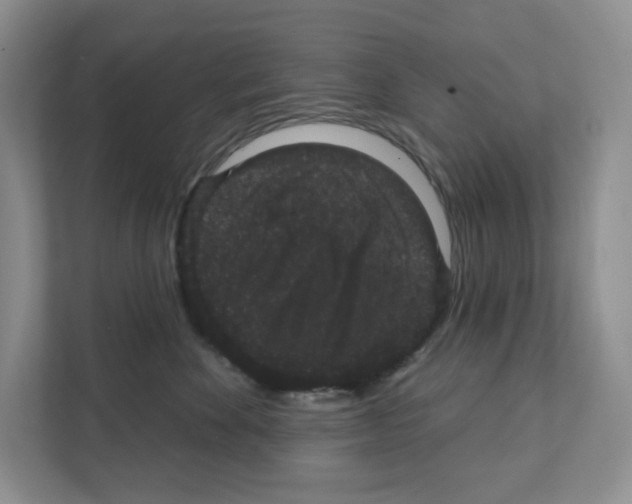 X0000111420524200908241134