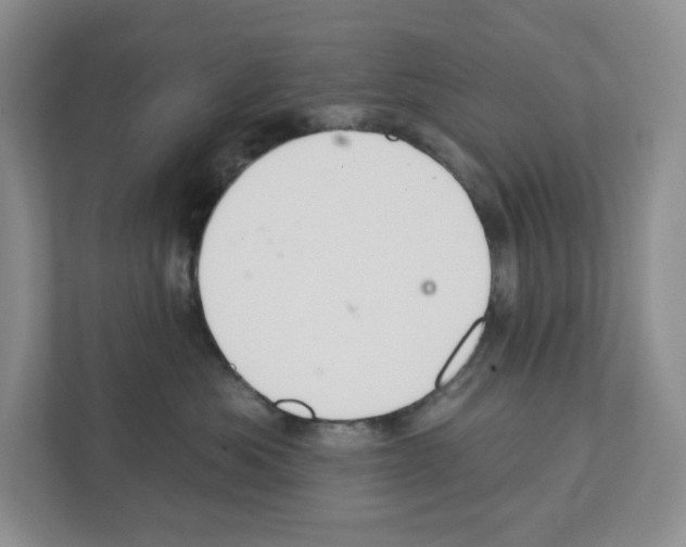 X0000111420525200908241134