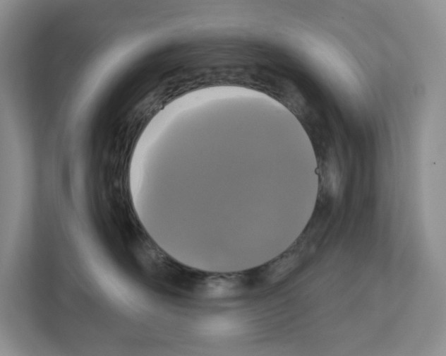 X0000111420526200908241134