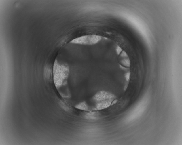 X0000111420527200908241134