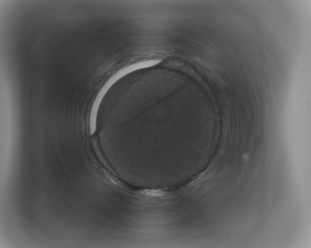 X0000111420528200908241134