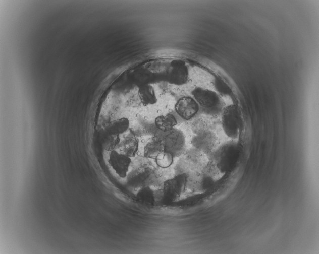 X0000111420529200908241134