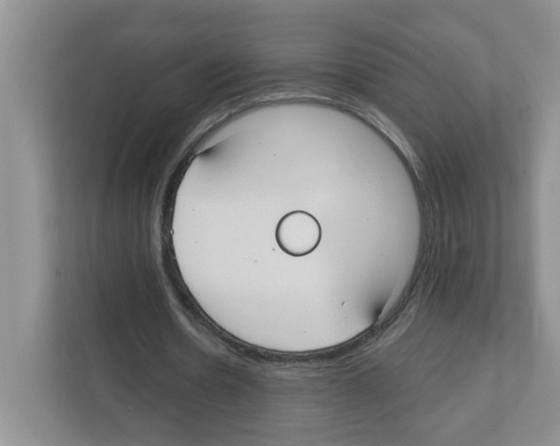 X0000111420530200908241134