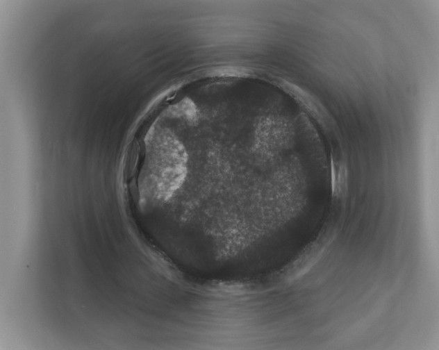 X0000111420531200908241134