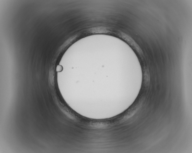 X0000111420533200908241134