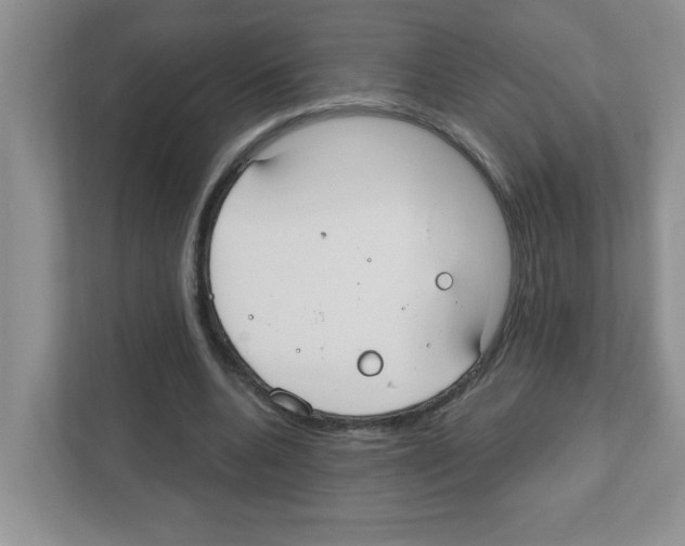 X0000111420536200908241134