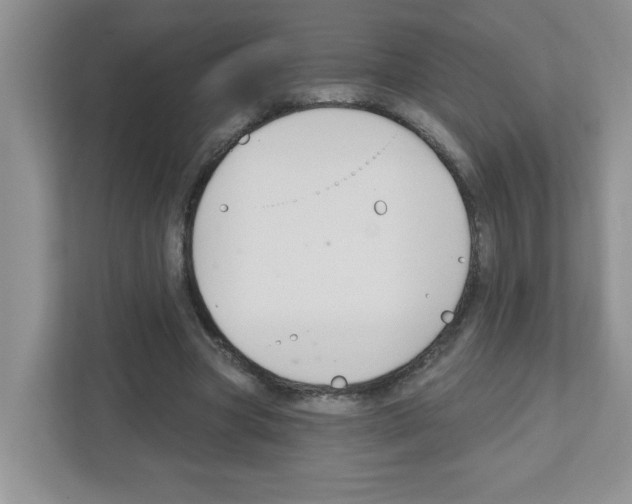 X0000111420537200908241134