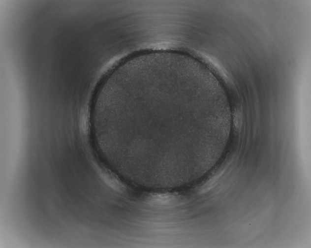 X0000111420540200908241134