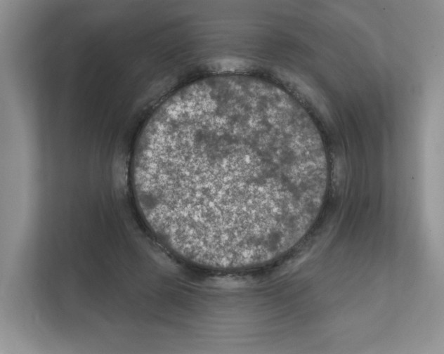 X0000111420545200908241134