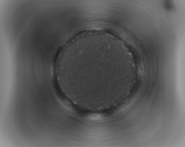 X0000111420551200908241134