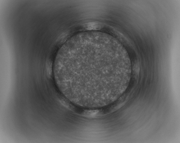 X0000111420554200908241134