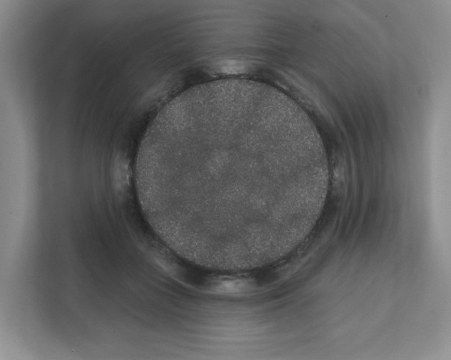 X0000111420555200908241134