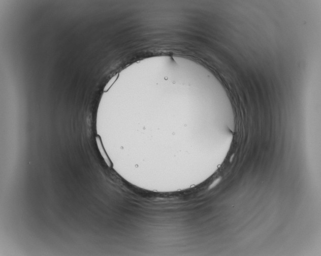 X0000111420556200908241134
