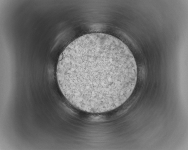 X0000111420557200908241134