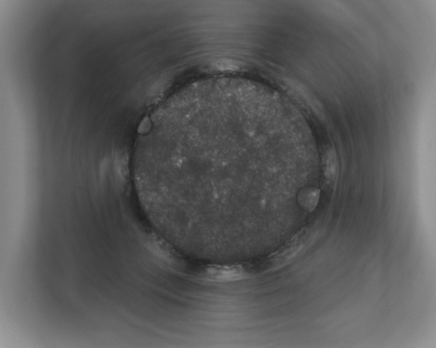 X0000111420559200908241134