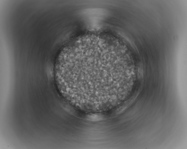 X0000111420561200908241134