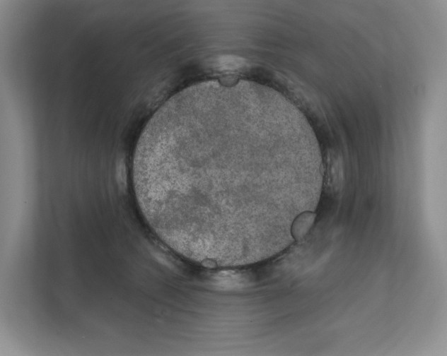 X0000111420562200908241134