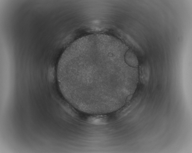 X0000111420563200908241134