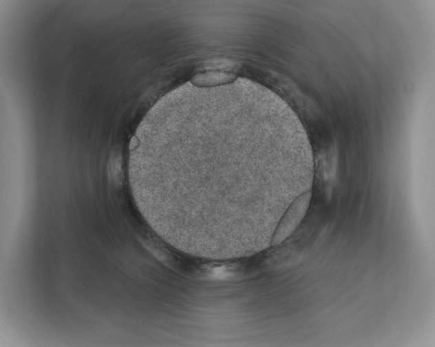 X0000111420564200908241134