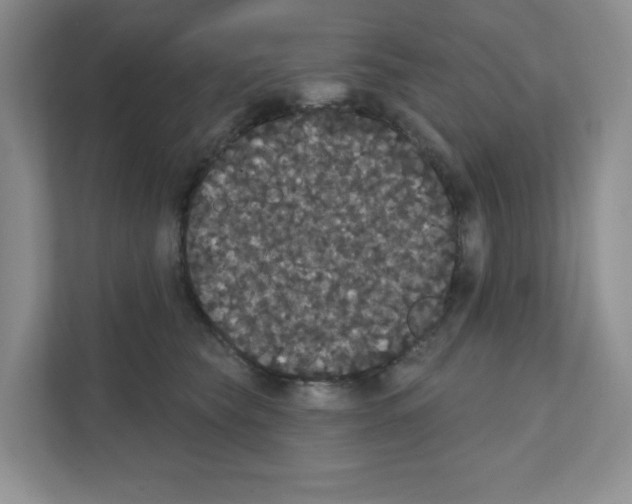 X0000111420565200908241134