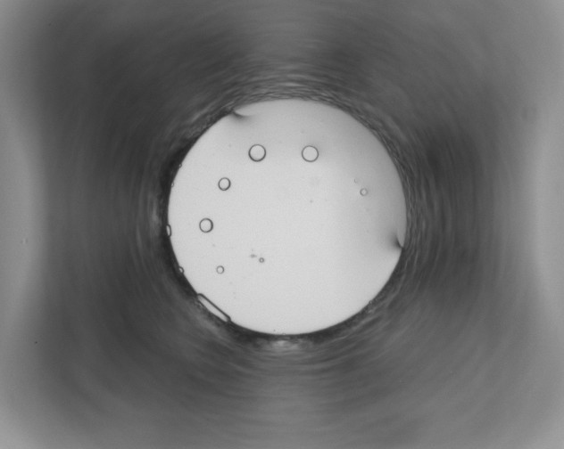 X0000111420566200908241134