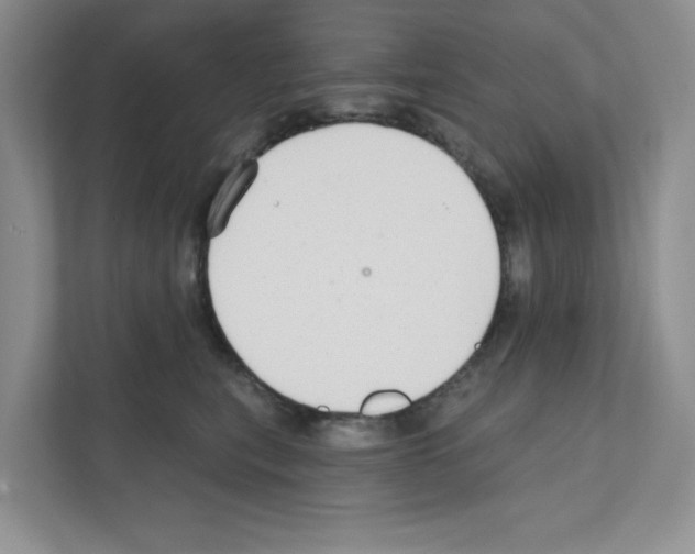 X0000111420567200908241134
