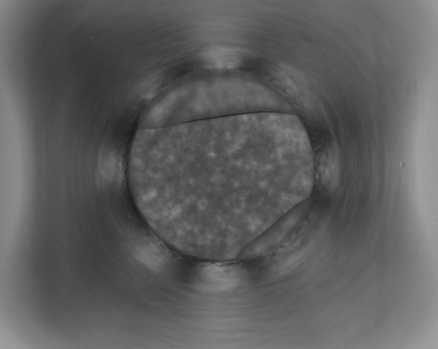 X0000111420568200908241134