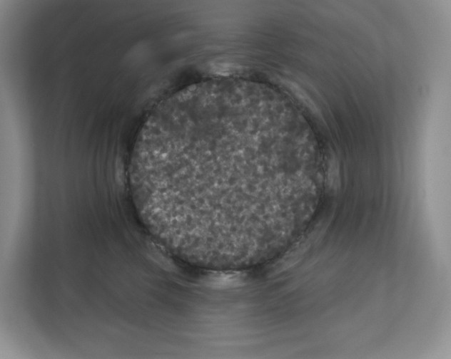 X0000111420569200908241134