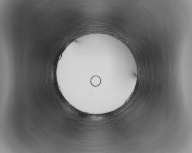 X0000111420570200908241134