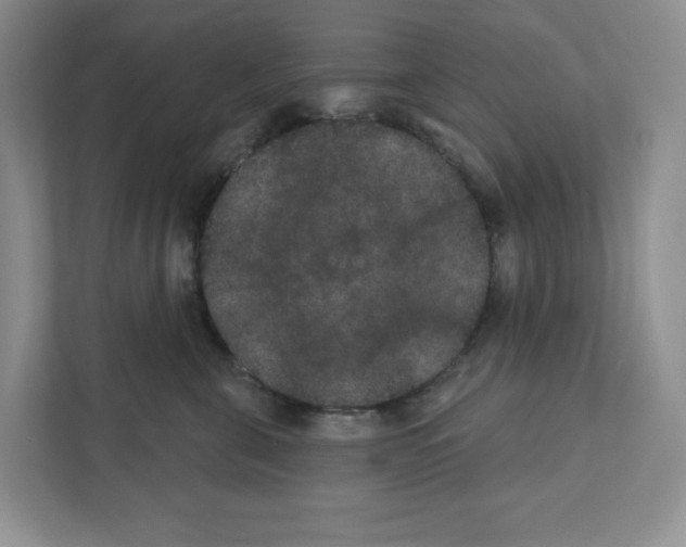 X0000111420571200908241134