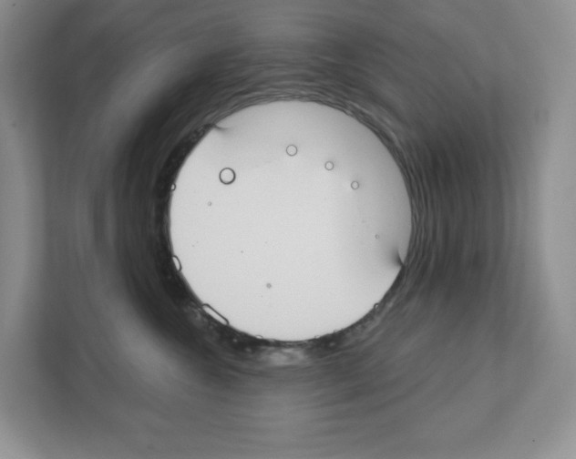 X0000111420572200908241134