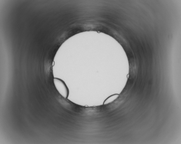 X0000111420574200908241134