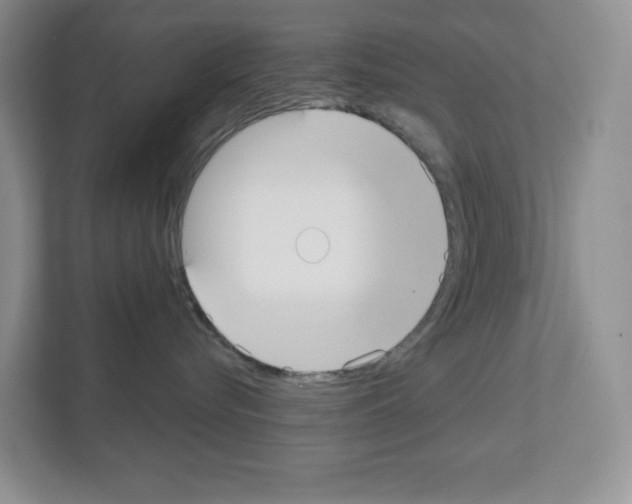 X0000111420576200908241134