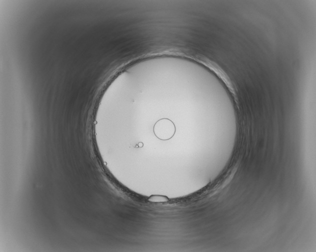 X0000111420577200908241134