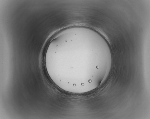 X0000111420579200908241134