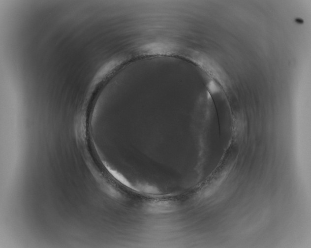 X0000111420581200908241134