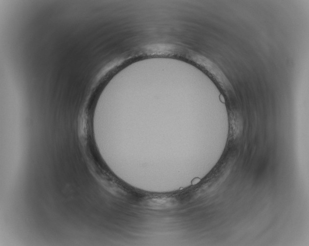 X0000111420583200908241134